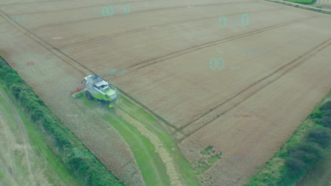 In wheat field, combine harvester operating with digital animation overlay