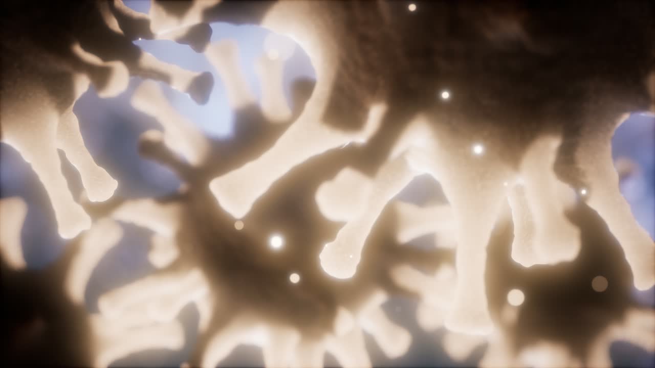 코로나 바이러스 ncov 호흡기 바이러스 개념