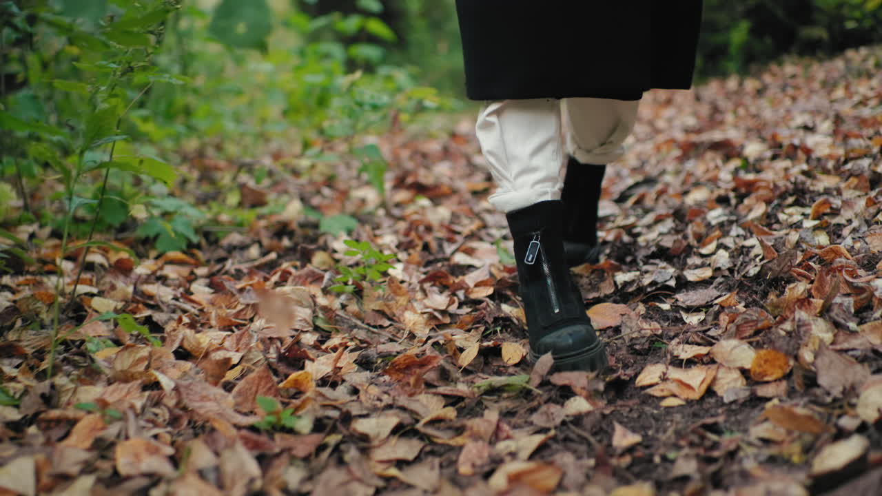 Leg view shows quiet walker in autumn coat moving through forest path, black boots crunching leaves while flipping book pages, slow stroll, reflective mood during peaceful outdoor wander