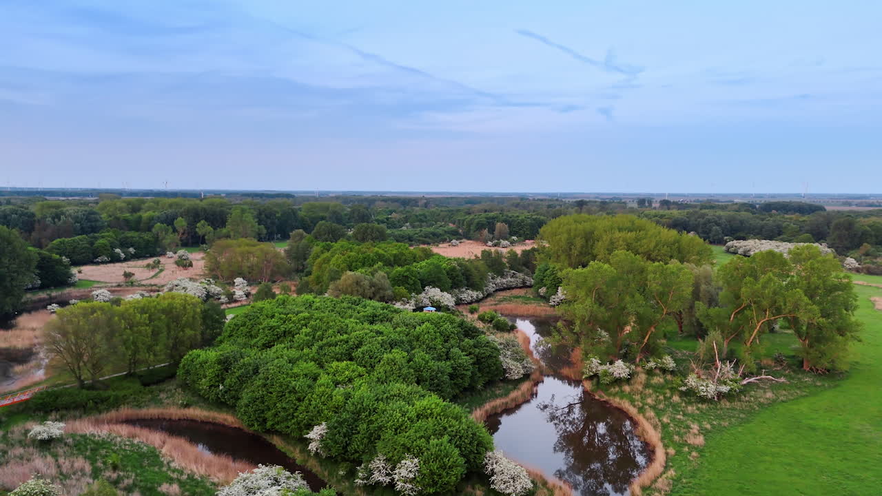 Approaching a pond twisting among the trees and bushes. Aerial view on the green park with a lonely belvedere.