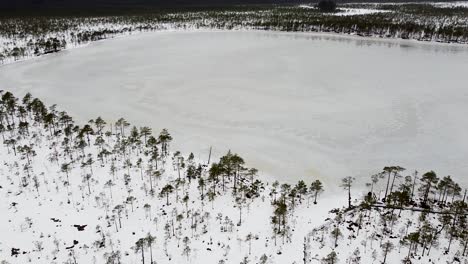Aerial-drone-showing-down-on-Luhasoo-bog-lake-in-Southern-Estonia-during-winter