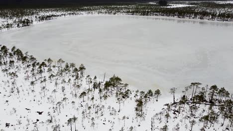 Aerial drone showing down on Luhasoo bog lake in Southern Estonia during winter