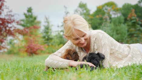 a woman is playing with two puppies on the lawn. favorite pets