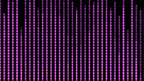 fondo de matriz de código digital rosa