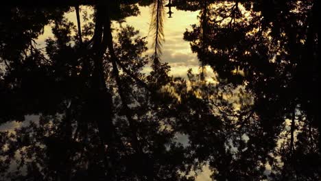 Droplets-falling-on-water-with-reflection