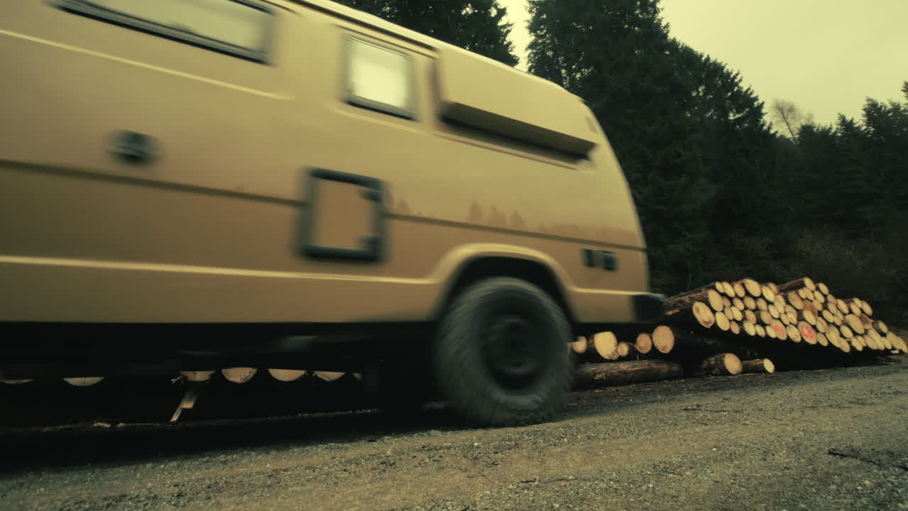 Logs being transported by a van in a forest