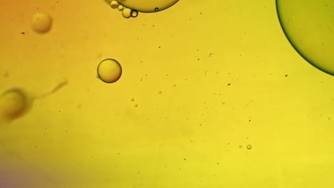 abstract colorful food oil drops bubbles and spheres flowing