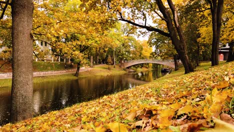 Toma-Estática-Del-Parque-Dorado-De-La-Temporada-De-Otoño-Con-Un-Hermoso-Puente-De-Hormigón-Sobre-Un-Pequeño-Estanque-De-Agua-Mientras-Las-Hojas-Doradas-Son-Sopladas-Por-Una-Ligera-Brisa