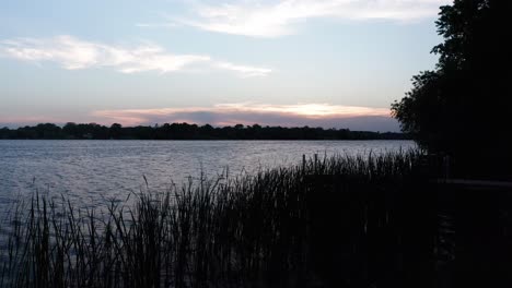 low and slow aerial glide above cattails blowing with a gentle breeze on lake during sunset
