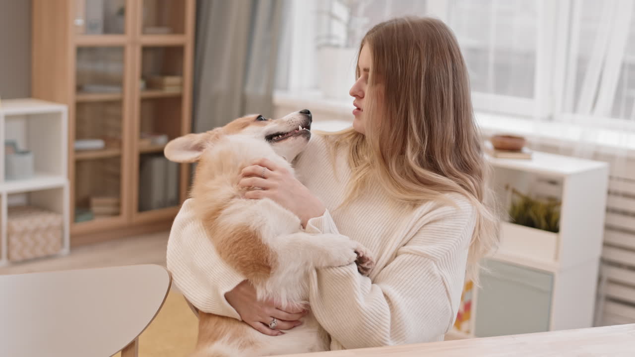 코르기 를 품 에 안고 있는 백인 여자