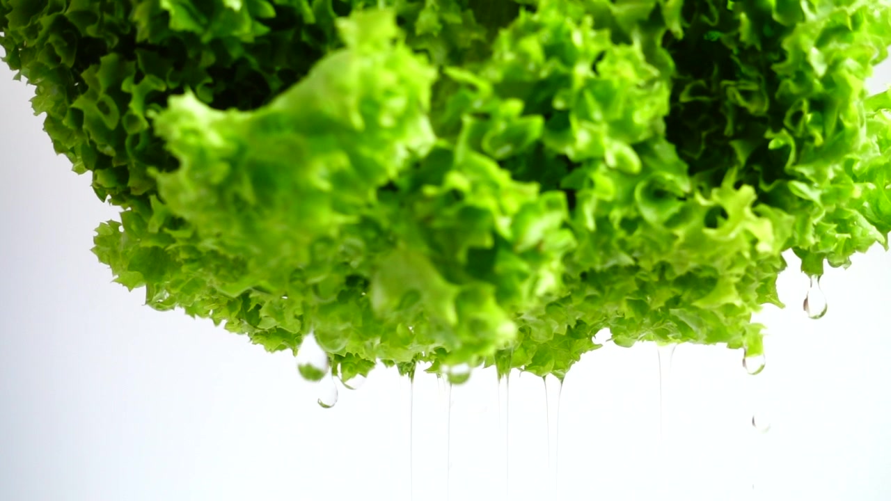 Washing of lettuce leaves. Slow motion.