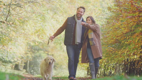 Ein-Paar-Geht-Mit-Seinem-Haustier-Golden-Retriever-Händchen-Haltend-Auf-Der-Strecke-In-Der-Herbstlichen-Landschaft-Spazieren