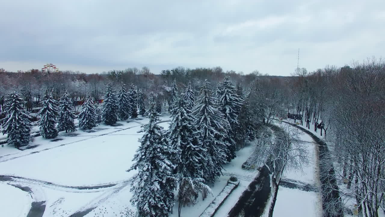 Winter in the urban park with trees and fir-trees. Drone rising over the square with people crossing it. Top view.