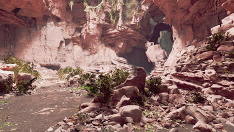 Der-Blick-In-Die-Feenhöhle-Mit-Pflanzen