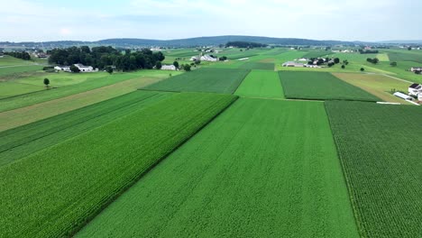 an aerial view of the lush green farmland of southern lancaster county, pennsylvania during the summer