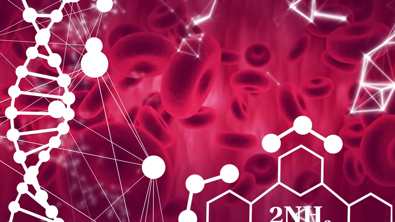 In riproduzione, globuli rossi alla deriva mentre il DNA pulsa e i nodi si riorganizzano, visualizzando una rete biochimica.