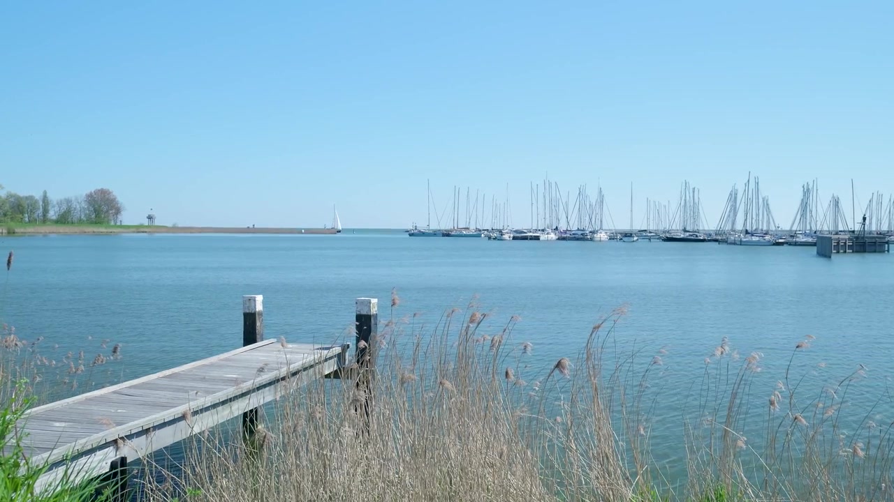 Wooden Pier Extending into a Calm Marina with Sailboats