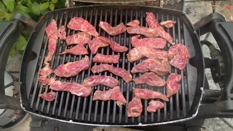 outdoor korean bbq; grilling boneless kalbi