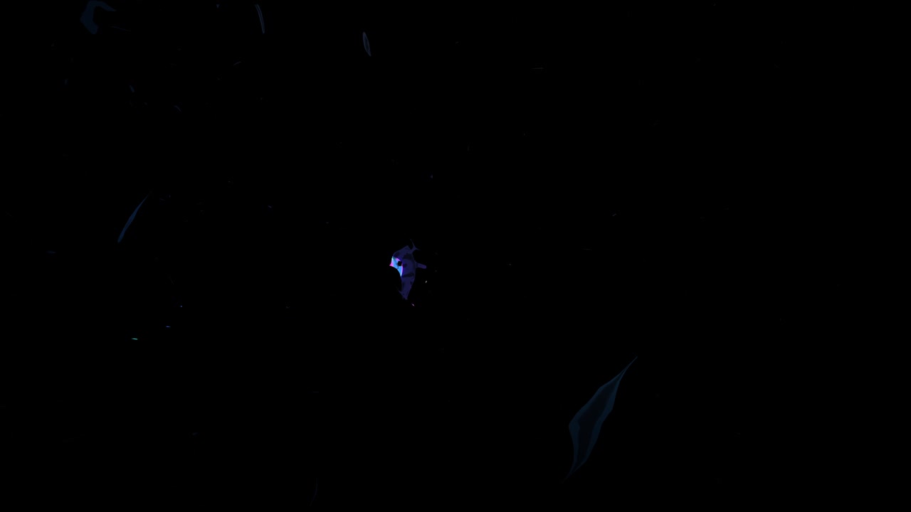 자유를 드러내는 01