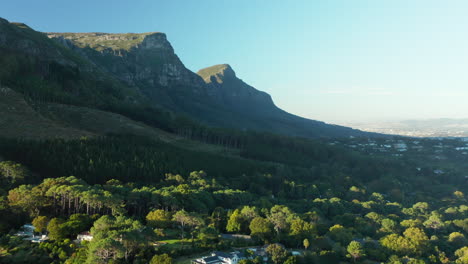 green forest at the constantia valley under cloudy blue sky in cape town, south africa