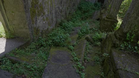 overgrown moss-covered passage with stone steps and pillars in ancient ruins