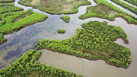 Pantanos-De-La-Reserva-Natural-Del-Dominio-De-Graveyron-Cerca-Del-Arroyo-Lanton-En-El-Oeste-De-Francia,-órbita-Aérea-Alrededor-De-La-Vista