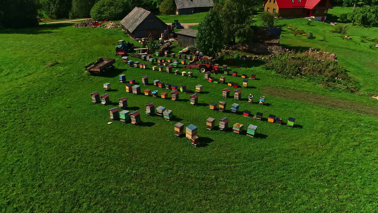 초록색 에 있는 벌 양육 슈퍼