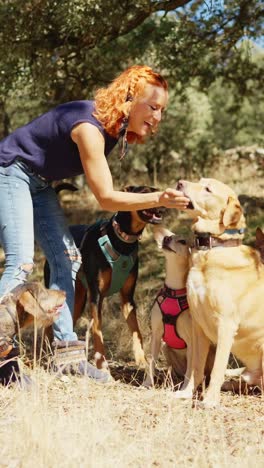 woman interacting with multiple dogs outdoors