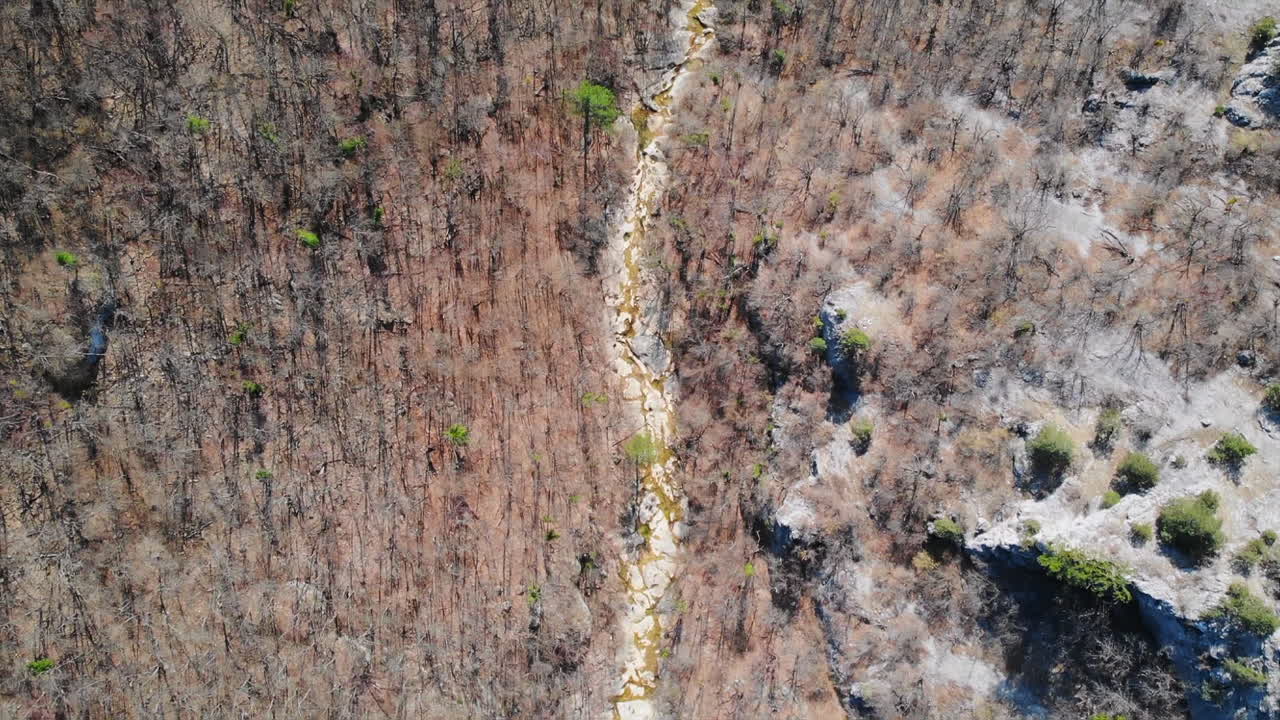 Aerial View of Forest and Stream