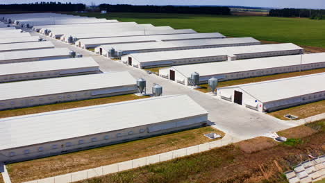 line of storehouses in green field on summer day. warehouses for agricultural needs. countryside industry. rural place. farming facilities.