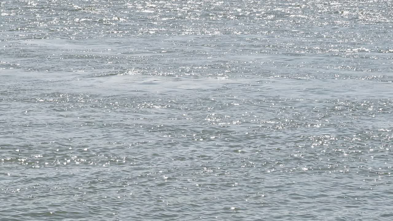 Flowing river water surface with sunlight reflections and gentle current movement, continuous flow and dynamic light patterns, liquid light