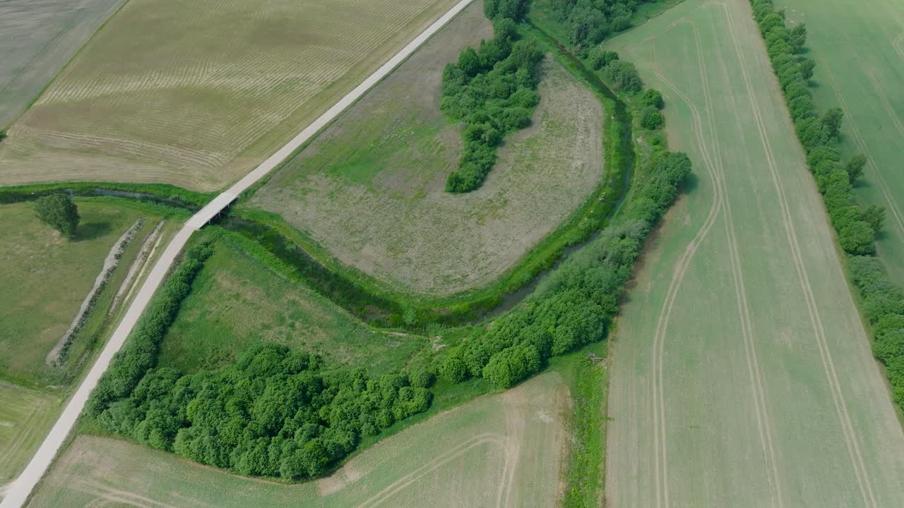 vista aérea a vista de pájaro del campo de grano en maduración, agricultura orgánica, paisaje rural, producción de alimentos y biomasa para un manejo sostenible, día soleado de verano, disparo de avión no tripulado hacia adelante inclinado hacia abajo