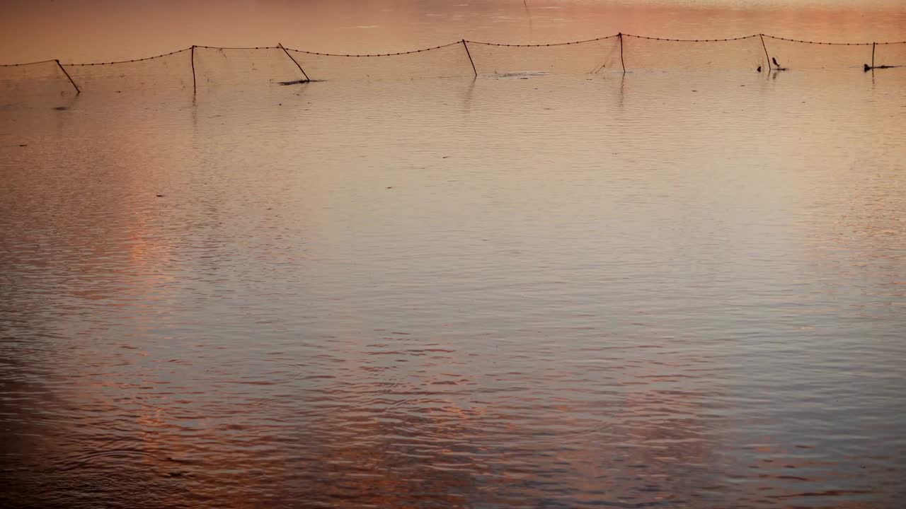 Fish pond fresh water aquaculture
