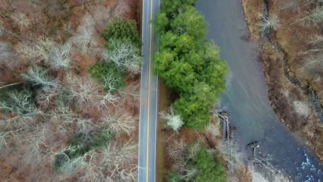 aerial drone video of a mountain road running alongside a river, surrounded by a forest with bare, deciduous trees and coniferous pine trees