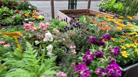 colorful flowers displayed at a parisian flower shop