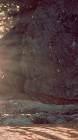 a close-up of a stream flowing over a rock in a forest