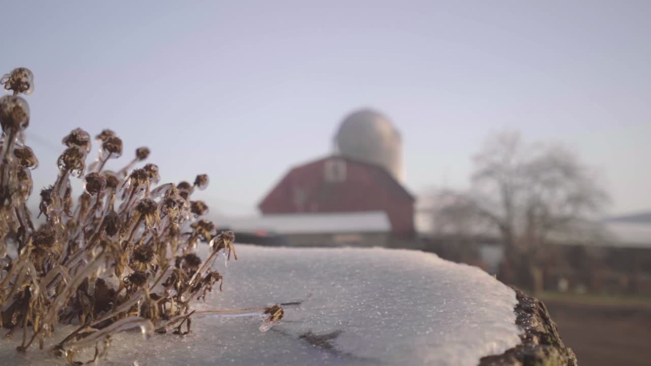 A cold January morning along with some winter precipitation and a bright sunrise make for some interesting details.