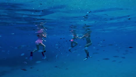 school of fish swimming close to girls snorkeling underwater in deep blue sea