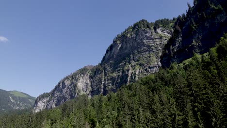 Aufsteigende-Felsen-über-Den-Kiefernwipfeln-Am-Montriond-See,-Die-Nach-Oben-Schauen