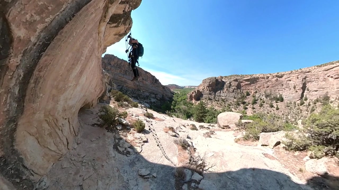 Donna su scala che si arrampica su una parete rocciosa in una giornata di sole, Ashley Gorge Via Ferrata, Utah USA.