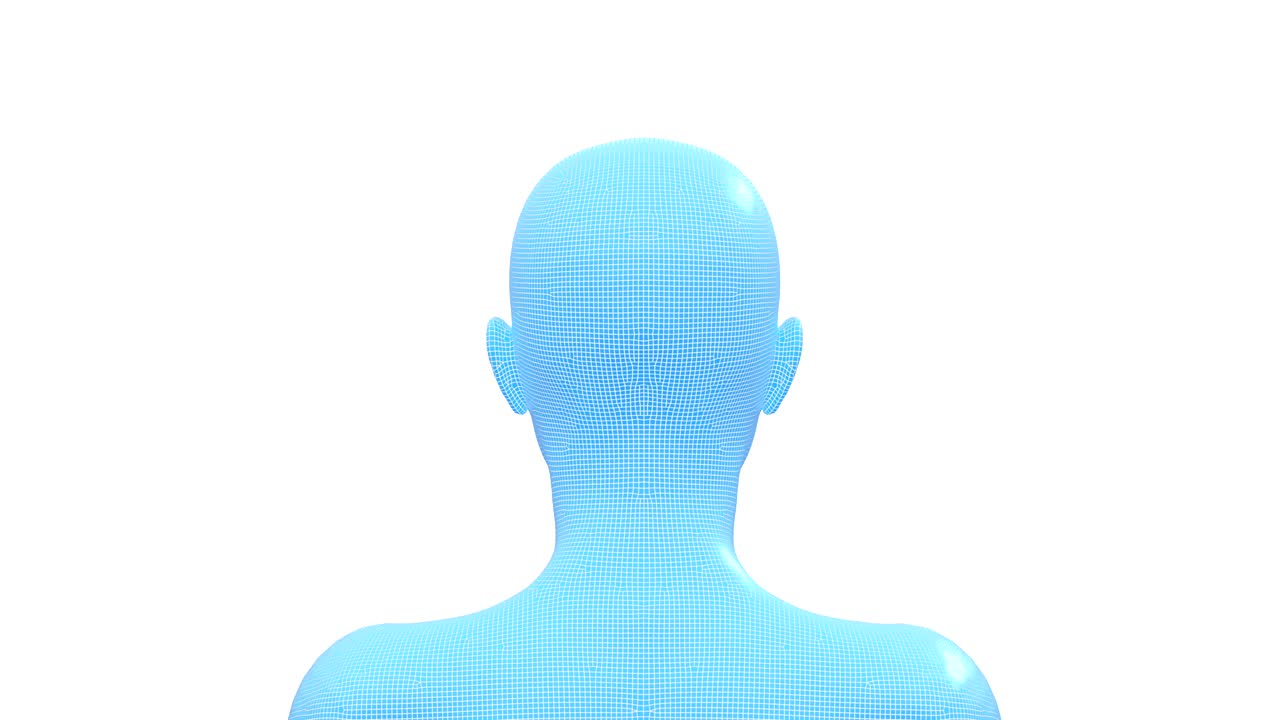 여성, 여성 인간 머리, 3d 와이어 프레임 모델, 시엄리스 루프