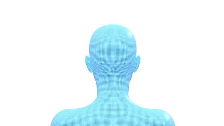 Woman, Female Human Head, 3D Wireframe Model, Seamless Loop