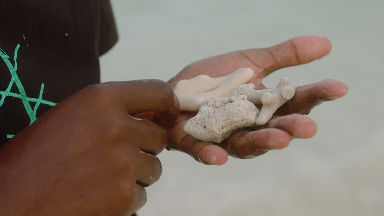 케냐의 다이아니 해변에 있는 이국적인 해변의 일부 산호와 돌의 세부 사진