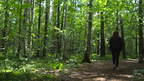 gorgeous smooth slow motion footage of a woman with red hair and black clothing walking into the distance and away in a sunny green forest on a muddy pine needles covered road during summer warm day.