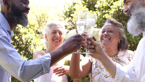 celebrating at outdoor wedding, senior friends toasting with champagne glasses, enjoying time togeth