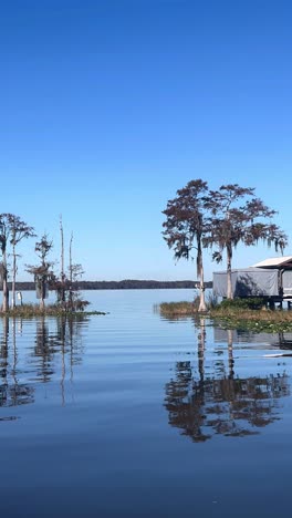 serene bayou landscape