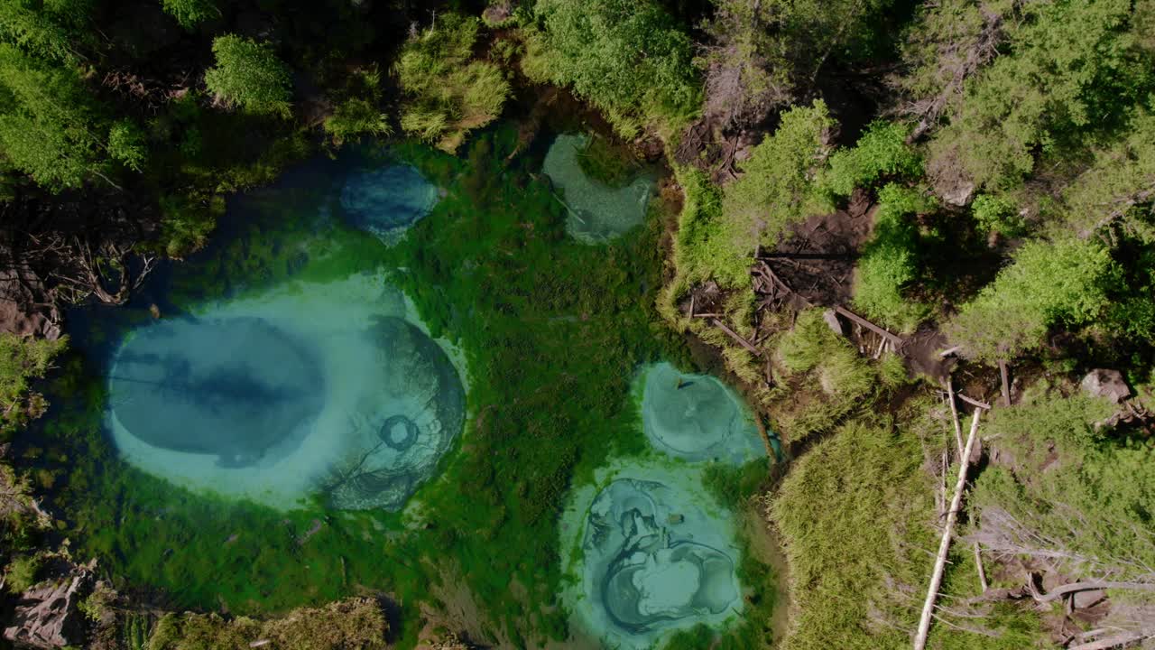 Imagens de drone do Lago Geyser turquesa com círculos de nascente borbulhantes cercado por densa floresta, perto de Aktash, República de Altai, Rússia, marco natural