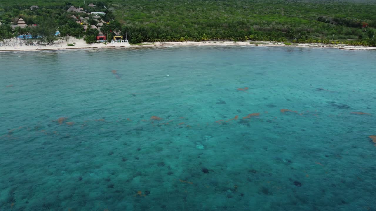 Acque turchesi cristalline lungo la costa di Cozumel con vegetazione lussureggiante e una barca