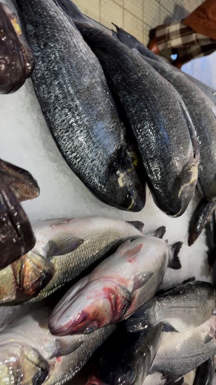 Variety of Fresh Fish Displayed on Ice at a Market