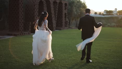 a bride and groom walking through a field of grass